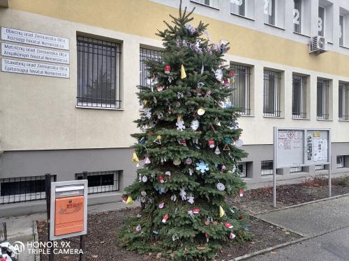 Községünk kárácsonyfája / Vianočný stromček obce 1